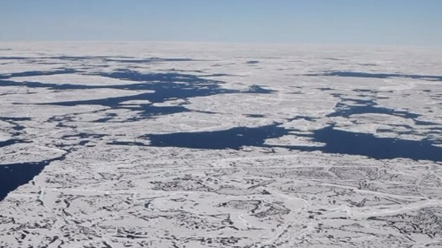 Arctic sea ice